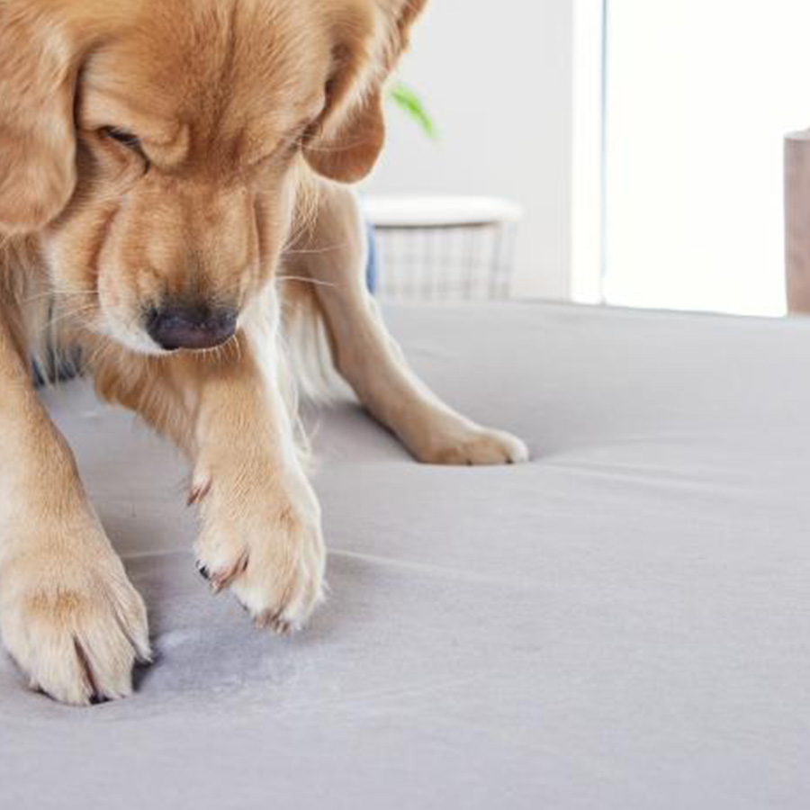 引っ掻きに強いカバーリング生地