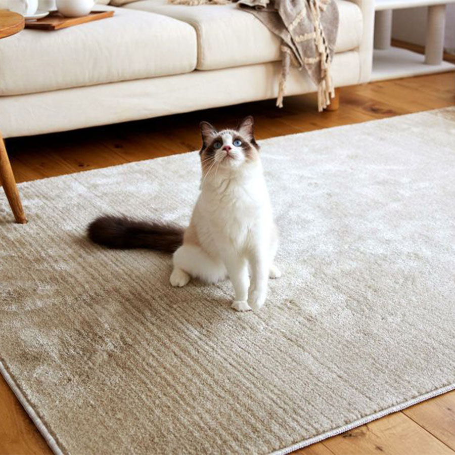 スミノエ　スペースカーペット　マール2　ペット向けラグ