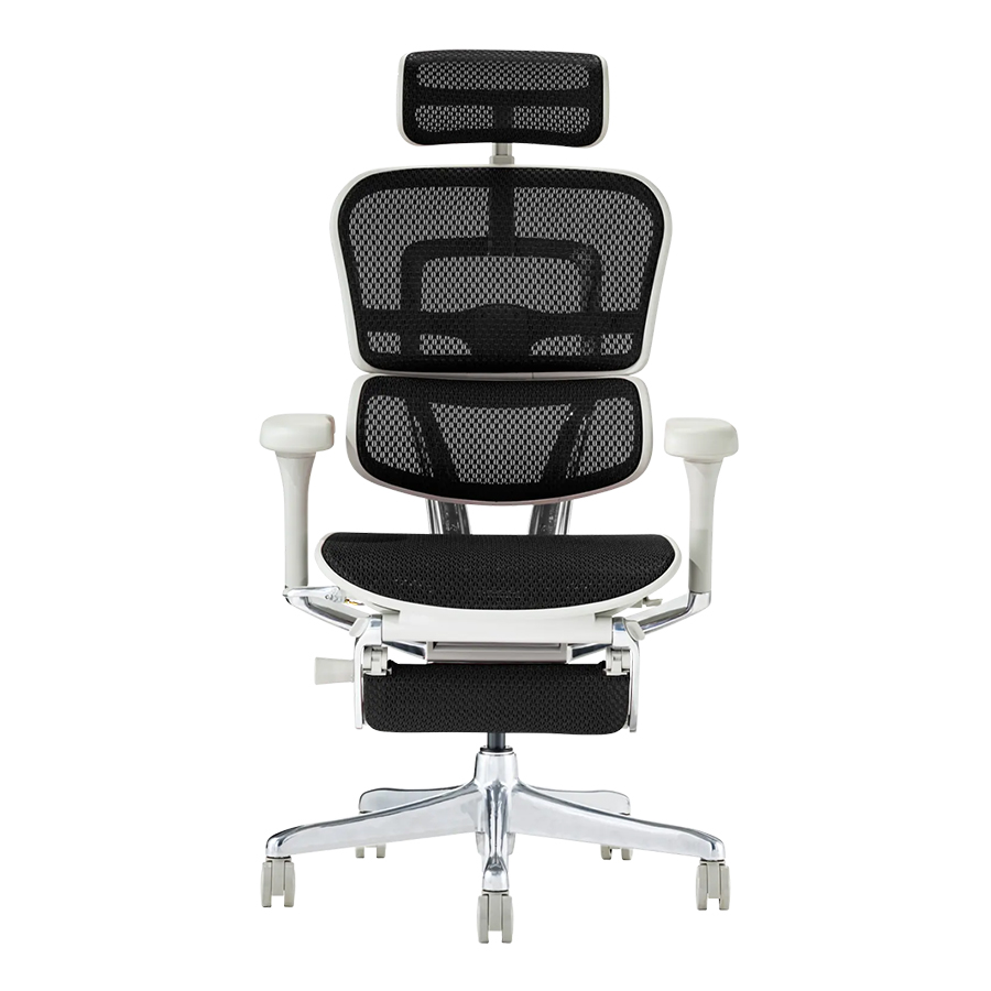 Ergohuman（エルゴヒューマン） PRO2 Ottoman グレーフレーム EHP2-LPL