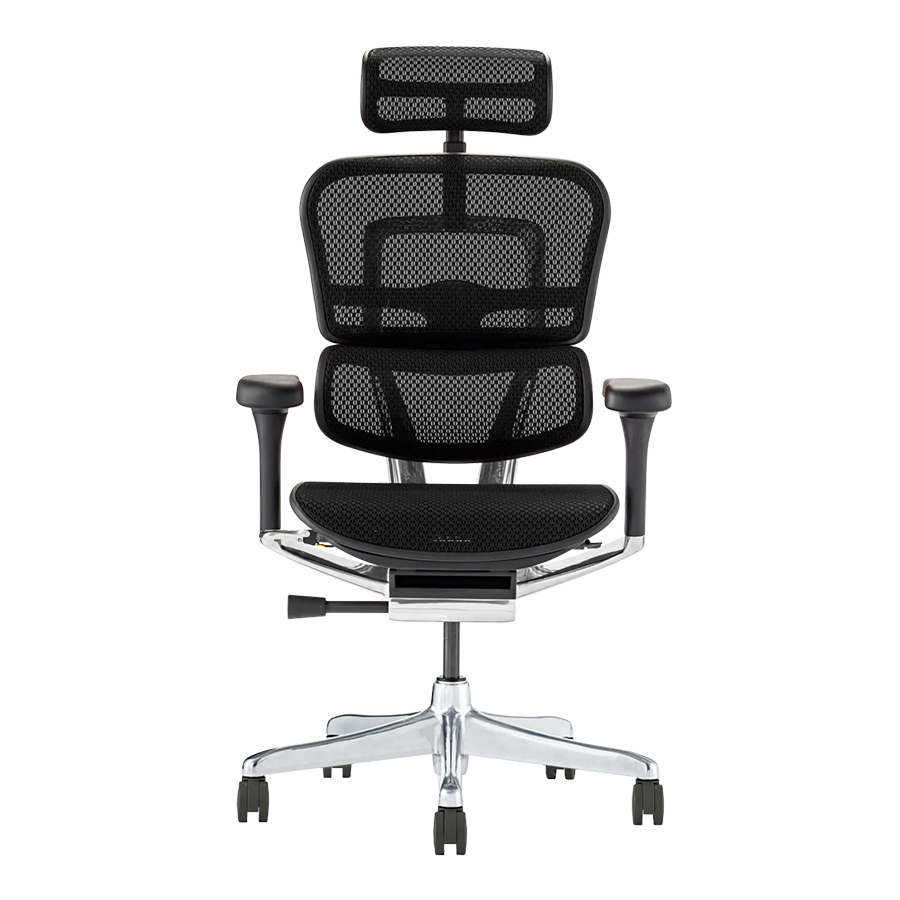 Ergohuman（エルゴヒューマン） PRO2 High ブラックフレーム EHP2-HAM