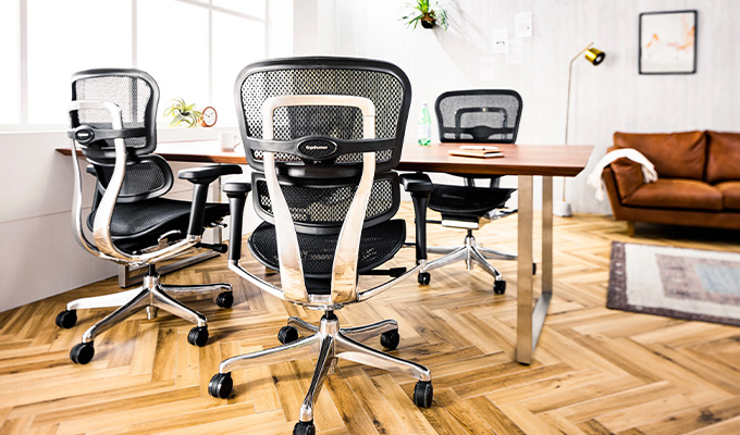 Ergohuman（エルゴヒューマン） PRO2 Low ブラックフレーム EHP2-LAM-DR-BF