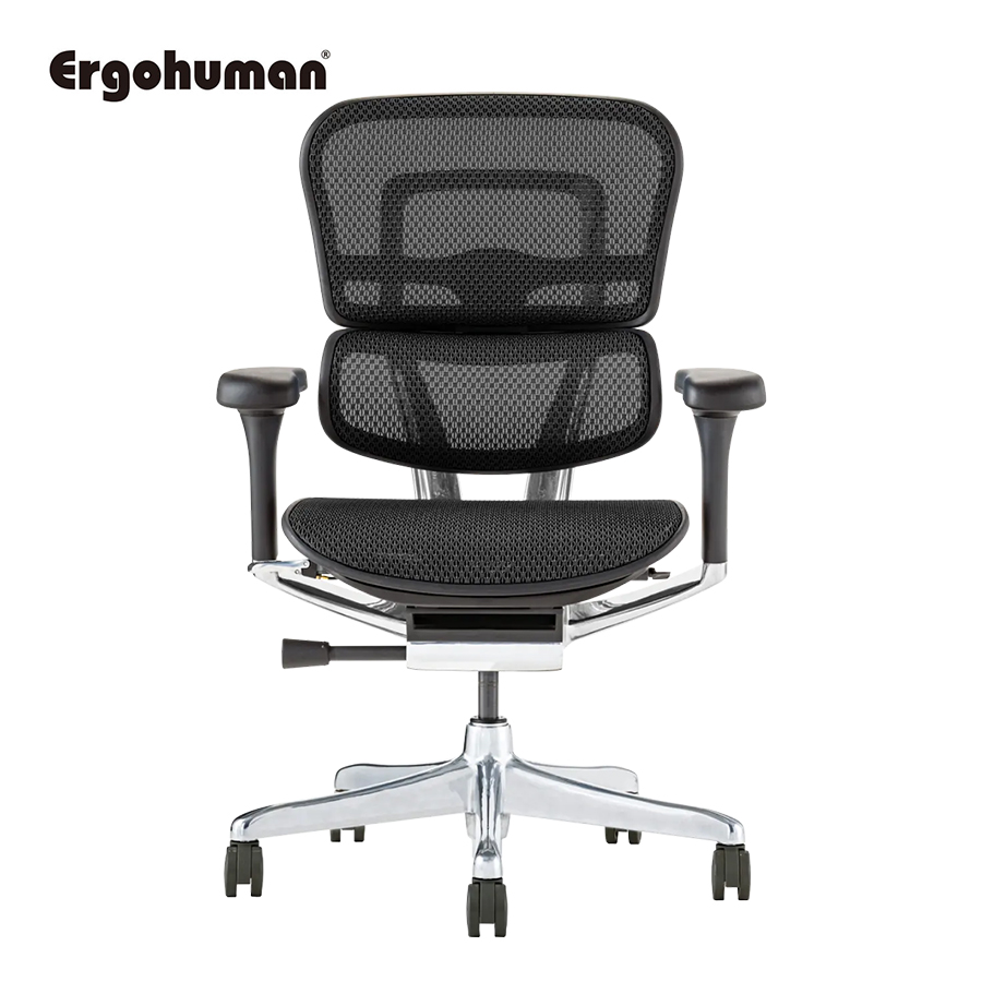 Ergohuman（エルゴヒューマン） PRO2 Low ブラックフレーム　EHP2-LAM-DR-BF