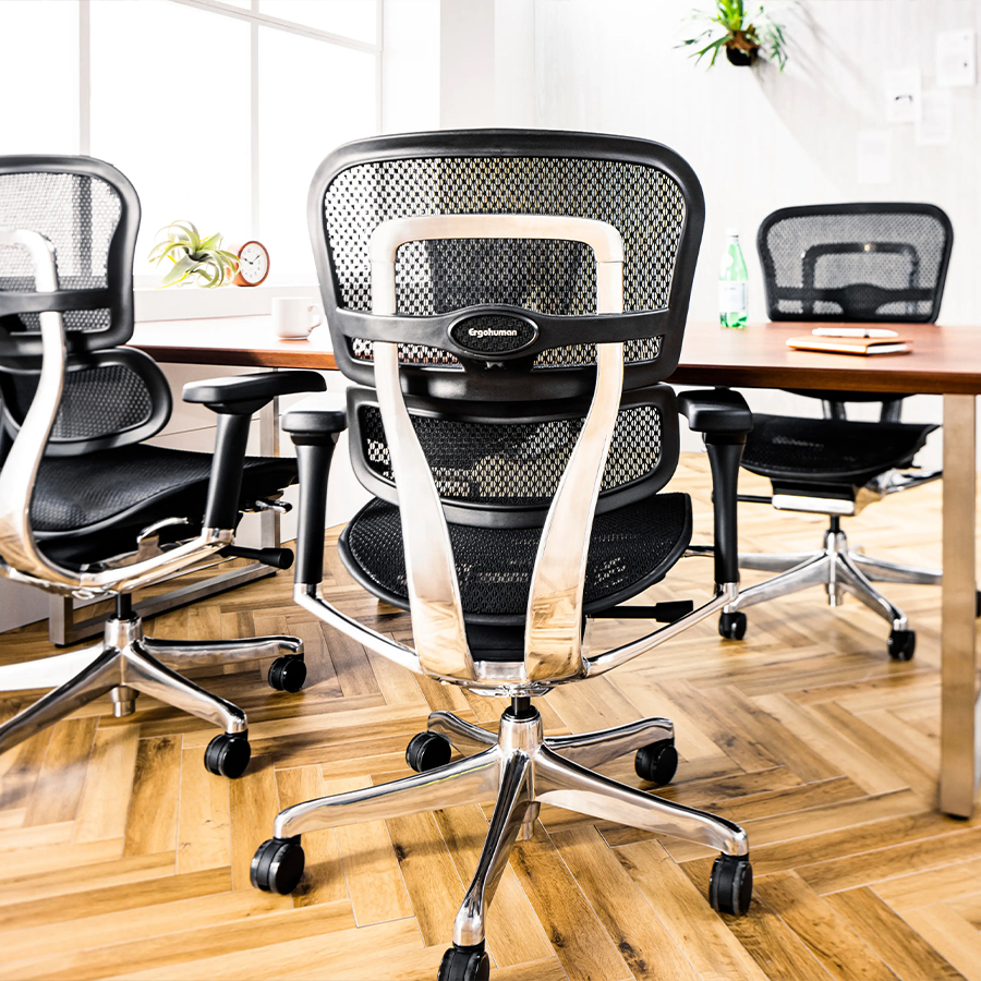 Ergohuman（エルゴヒューマン） PRO2 Low ブラックフレーム EHP2-LAM-DR-BF