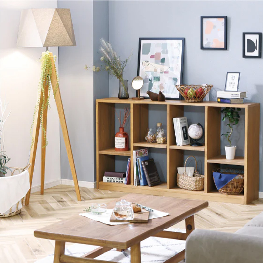 ノリナ エクセルサ 8号 120cm Nolina excelsa 現品］1番 トックリラン