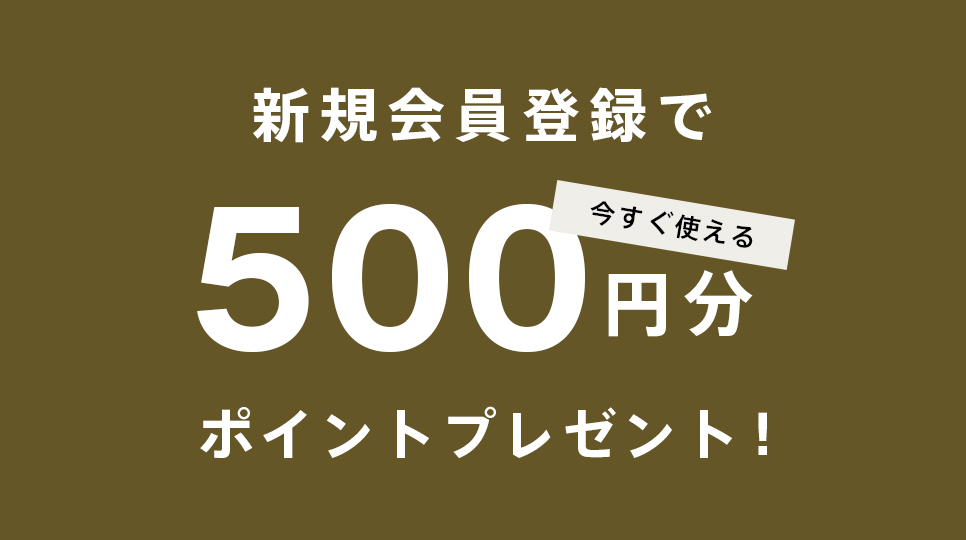 新規会員登録でポイントプレゼント