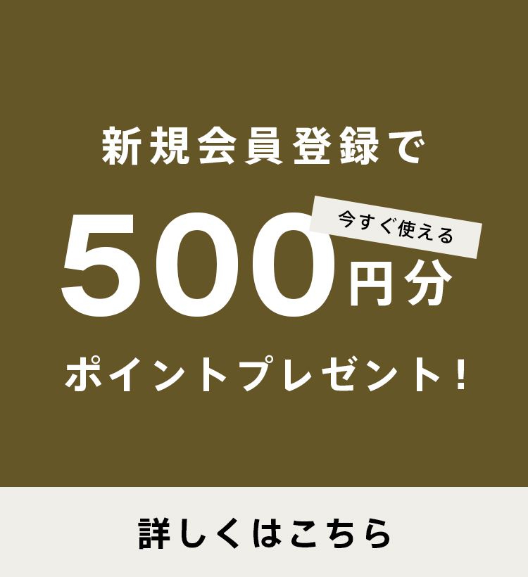 新規会員登録でポイントプレゼント